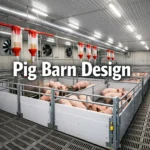 Modern pig barn design showing pen layout, slatted flooring, ventilation inlets, and automated feeding system
