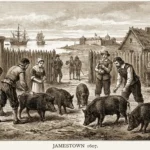 Colonial American settlers with free-range hogs in the 17th-century Jamestown settlement