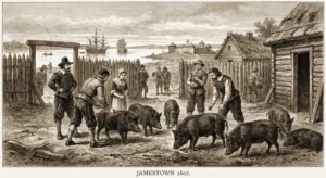 Colonial American settlers with free-range hogs in the 17th-century Jamestown settlement
