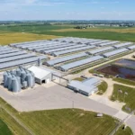 Modern commercial pig farm aerial view showing barns, feed storage, and manure management systems, USA