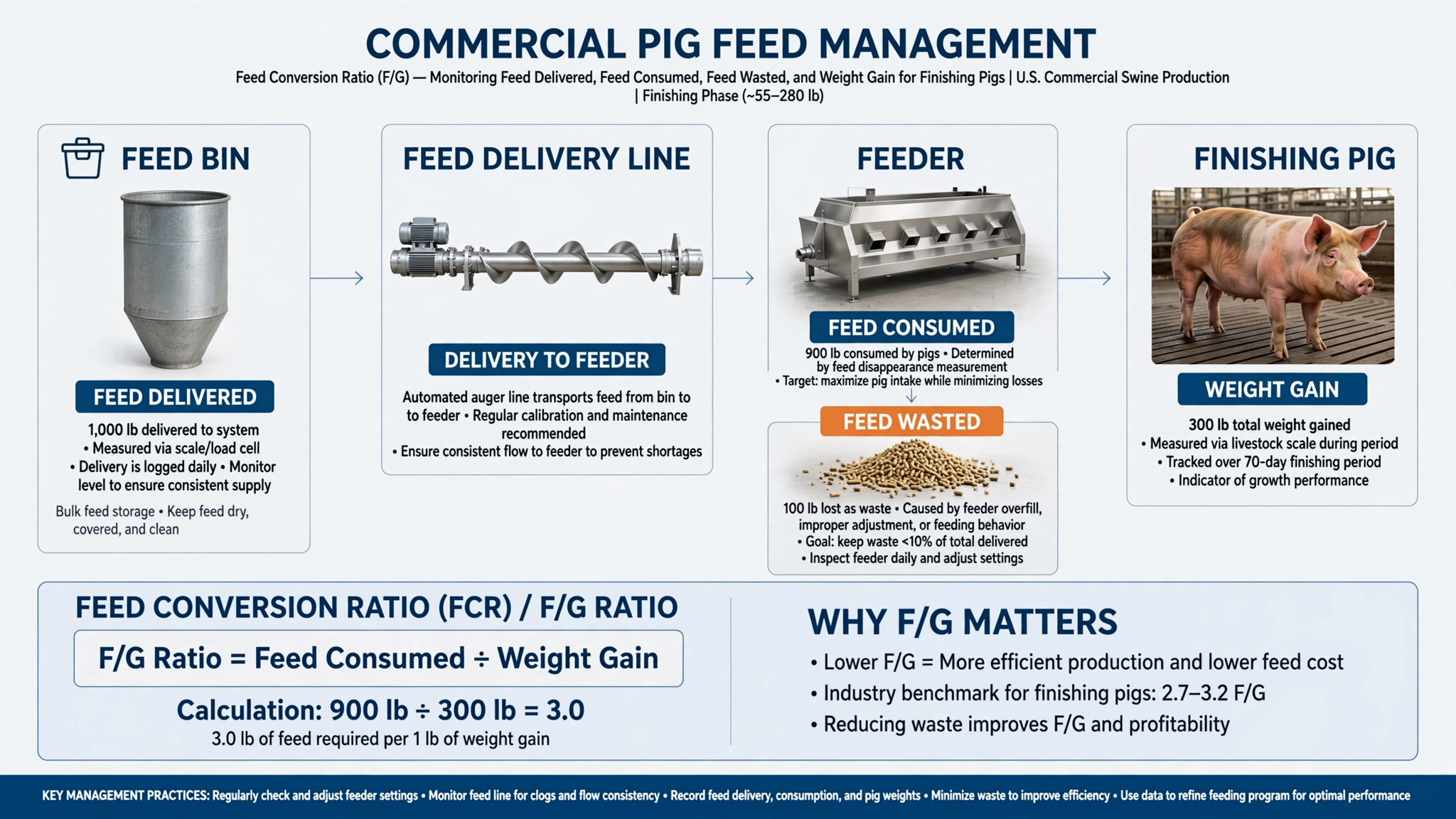 feed disappearance and feed conversion ratio measurement for finishing pigs